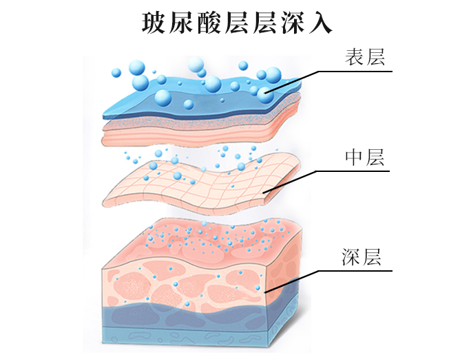 玻尿酸3.png