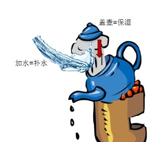 v2-89e9868324756c984759f275a31e007c_720w.jpg