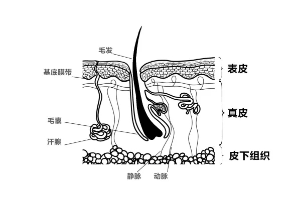 v2-0b9de248d182ddd33820c2bd6eacd899_720w.jpg
